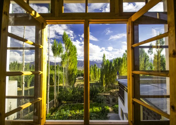 Wood Window Replacement in Citrus Heights