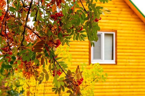 Garden Window Replacement in Citrus Heights